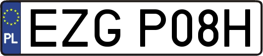 EZGP08H