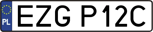 EZGP12C
