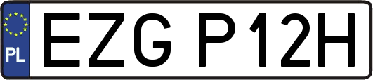 EZGP12H
