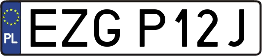EZGP12J