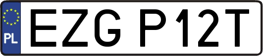 EZGP12T