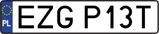 EZGP13T