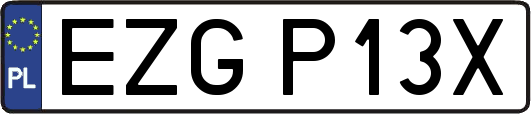 EZGP13X