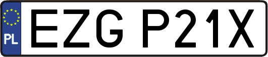 EZGP21X