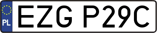 EZGP29C