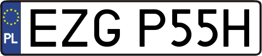 EZGP55H