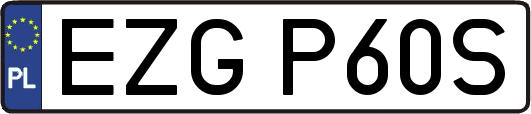 EZGP60S