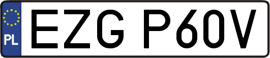 EZGP60V