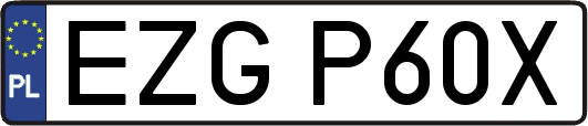 EZGP60X