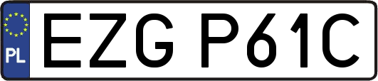 EZGP61C