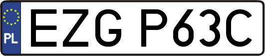 EZGP63C