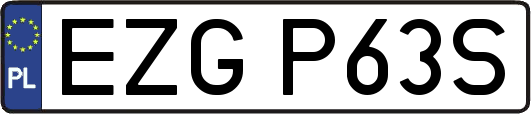 EZGP63S