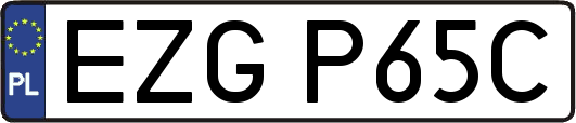 EZGP65C