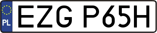 EZGP65H