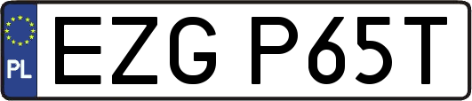 EZGP65T