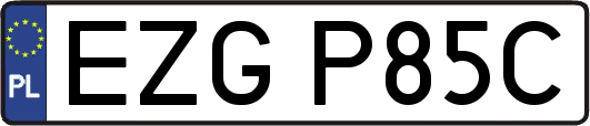 EZGP85C