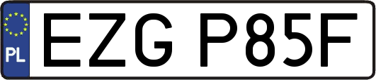 EZGP85F