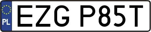 EZGP85T