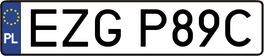 EZGP89C