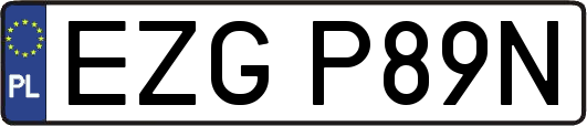 EZGP89N