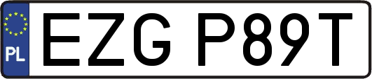 EZGP89T
