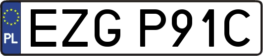 EZGP91C