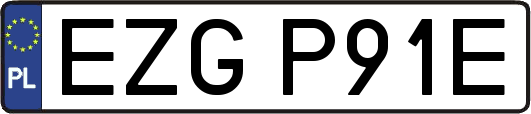 EZGP91E