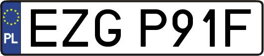 EZGP91F