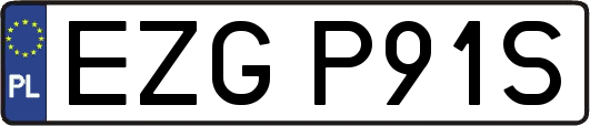 EZGP91S