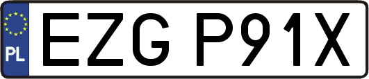 EZGP91X