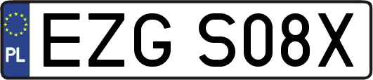 EZGS08X