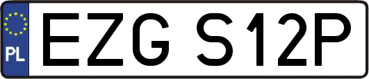 EZGS12P