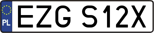 EZGS12X