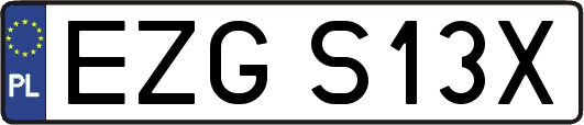 EZGS13X