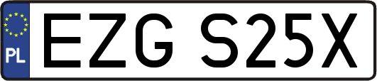 EZGS25X