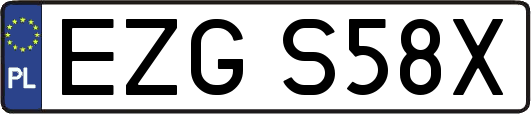 EZGS58X