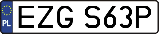 EZGS63P