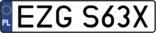 EZGS63X