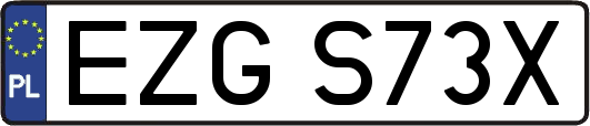 EZGS73X