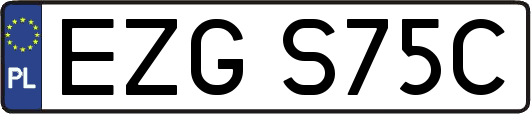 EZGS75C