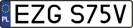 EZGS75V