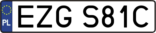 EZGS81C