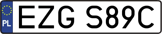 EZGS89C