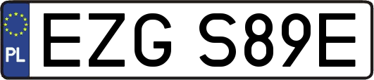 EZGS89E