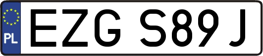 EZGS89J