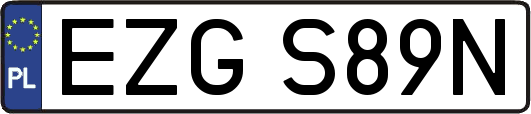EZGS89N