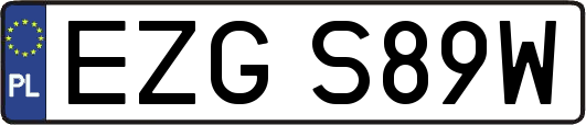EZGS89W