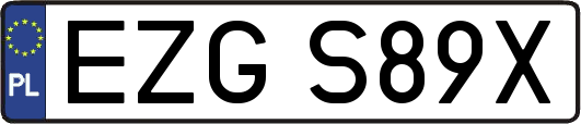 EZGS89X