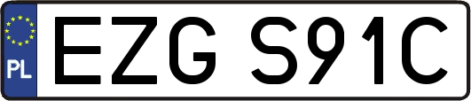 EZGS91C