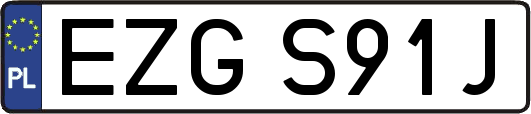 EZGS91J